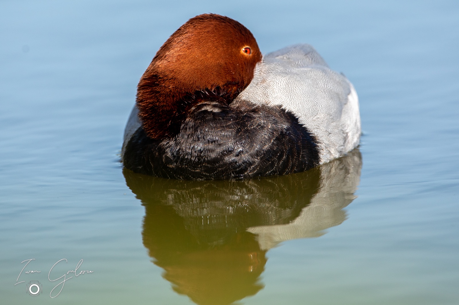 18 april 2022 110054  5D46574